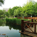上海·嘉善孔雀城 景观园林 