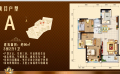 惠州碧桂园翡翠山5房2厅2卫  147平米㎡ 户型图