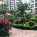 香江国际花园 景观园林 配套风情街，社区活动中心，健身中心，休闲中心，拥有充足停车位