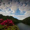 贵州赤水天鹅堡森林公园 景观园林 
