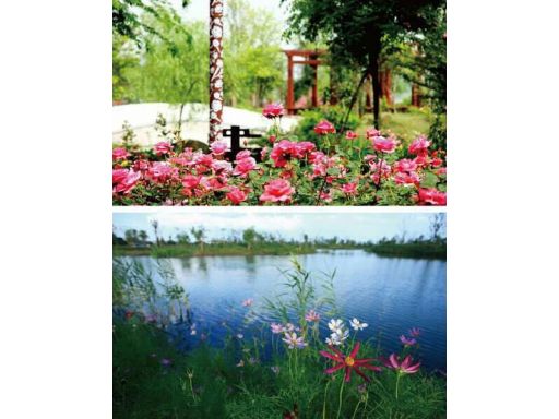 中洲花溪越小区景观