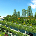 碧桂园森林城市 建筑规划 森林城市地面轻轨