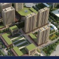 枫尚国际 建筑规划 