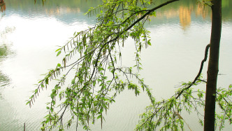 贵州赤水天岛湖