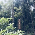 四季香山华庭 景观园林 