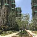 新奇世界上影安吉 建筑规划 绿化率高达40% 楼间距100米