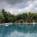 碧桂园椰城 景观园林 泳池2