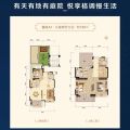 霸州温泉孔雀城（风情园）叠拼     三室两厅两卫 三居 130平米㎡ 户型图