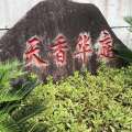 杭州千岛湖 景观园林 花坛
