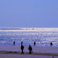 杭海盛都 景观园林 银滩的海