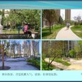 汇福樾澜湾西派国际 建筑规划 