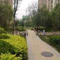 早安北京美林三期 景观园林 