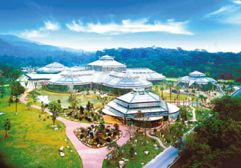 南亚热带植物园图片