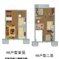 八达岭孔雀城精装公寓，买一层得两层 三居 64㎡ 户型图