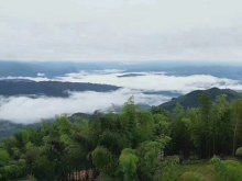 贵州赤水天鹅堡森林公园