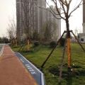 早安北京 景观园林 