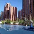 嘉都国际 建筑规划 篮球场