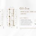 西藏天麓名居G1-3  2#楼户型图 复式 销售66.76㎡实得㎡ 户型图
