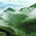 金龙云海国际康养度假区 景观园林 高山云海