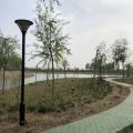 雄安新区东赫庄园 景观园林 环湖的跑道已修好，欢迎来踏青。