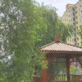 龙江花园 建筑规划 小区的一角