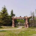 三盛国际城合院 景观园林 