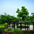 鸿翔湖畔景园 景观园林 小区内部景观