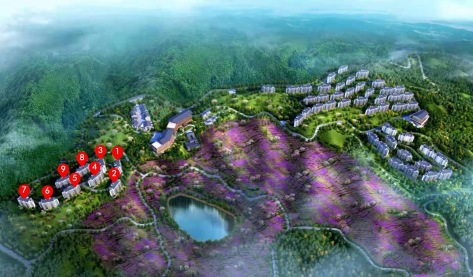 中国·紫鹊界康养小镇