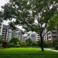 巴马坡月核心地磁养生房世纪养生园 景观园林 