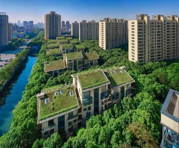 上海中鹰黑森林别墅图片