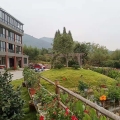 杭州·天目山养生度假公寓 建筑规划 房子外观实景