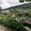 杭州·天目山养生度假公寓 景观园林 