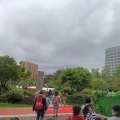 华中国际广场一期 景观园林 空中花园