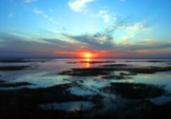 衡水湖国家级自然保护区图片
