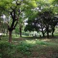 鱼珠城—和贵坊 景观园林 