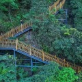 枕泉翠谷 景观园林 森林步道