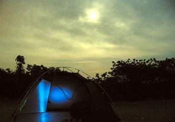 紫蓬山国家森林公园图片