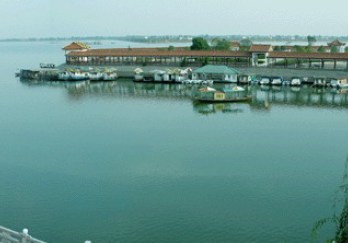 柳湖图片