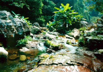 龙潭国家森林公园图片