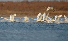 黄河故道湿地自然保护区