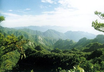 宝天曼国家森林公园图片