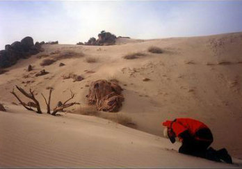 勃隆克沙漠旅游区图片