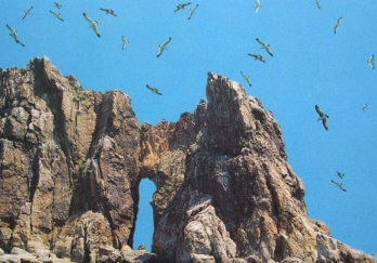 海驴岛图片