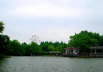杨浦公园图片