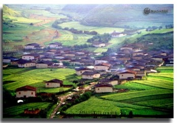 羌藏村图片