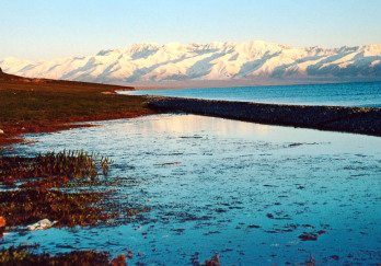 天鹅湖图片