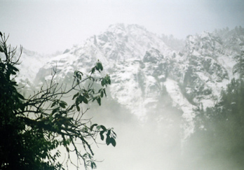 高黎贡山自然保护区图片